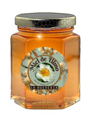 MIEL DE ULMO