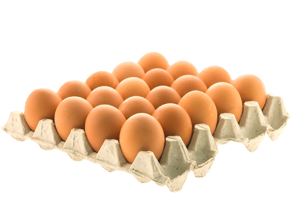 Caja de Huevos Gigantes2