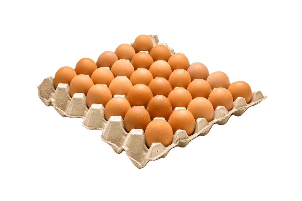 Bandeja Huevos Primera 30 unidades · Gallina Feliz1