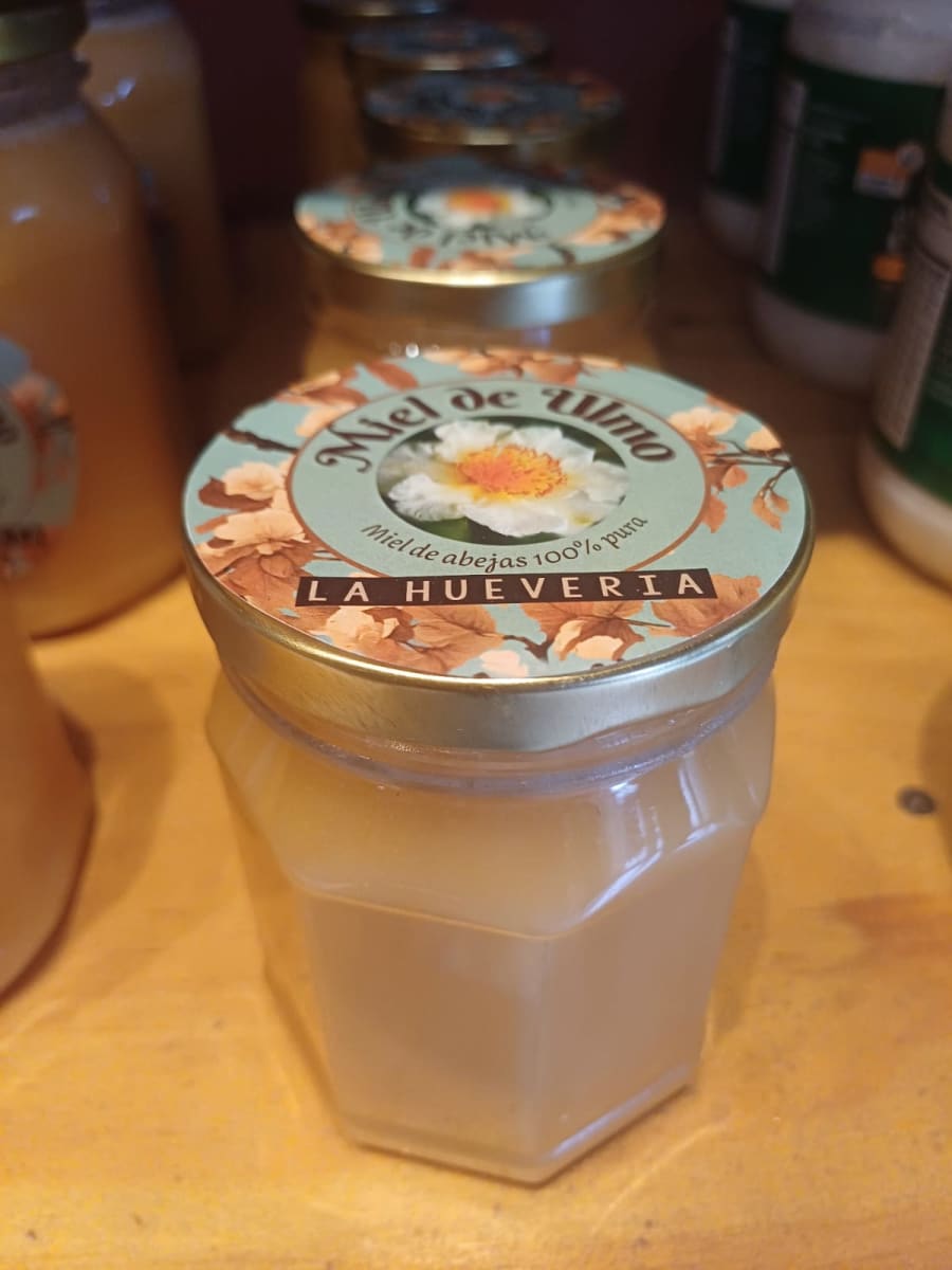 MIEL DE ULMO1