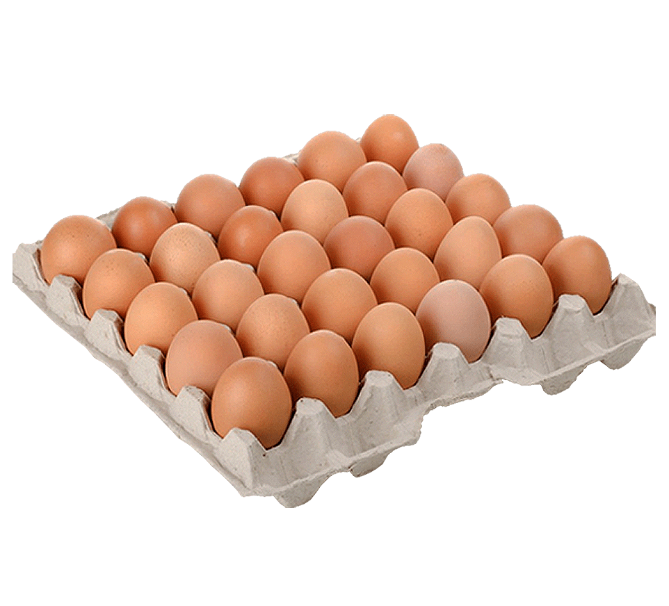 Bandeja Huevos Extra 30 unidades · Gallina Feliz1