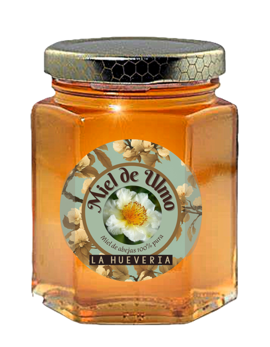 MIEL DE ULMO2