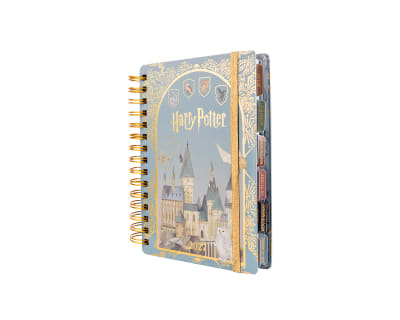 PREVENTA AGENDA HARRY POTTER 2027