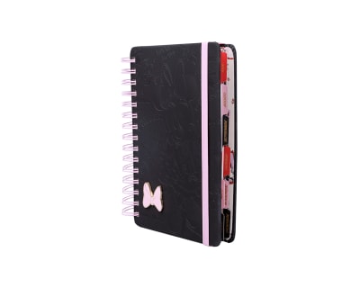 PREVENTA AGENDA MINNIE 2027