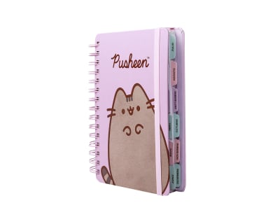 PREVENTA AGENDA PUSHEEN 2027