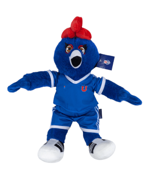 PELUCHE CHUNCHO U DE CHILE 30 CM.