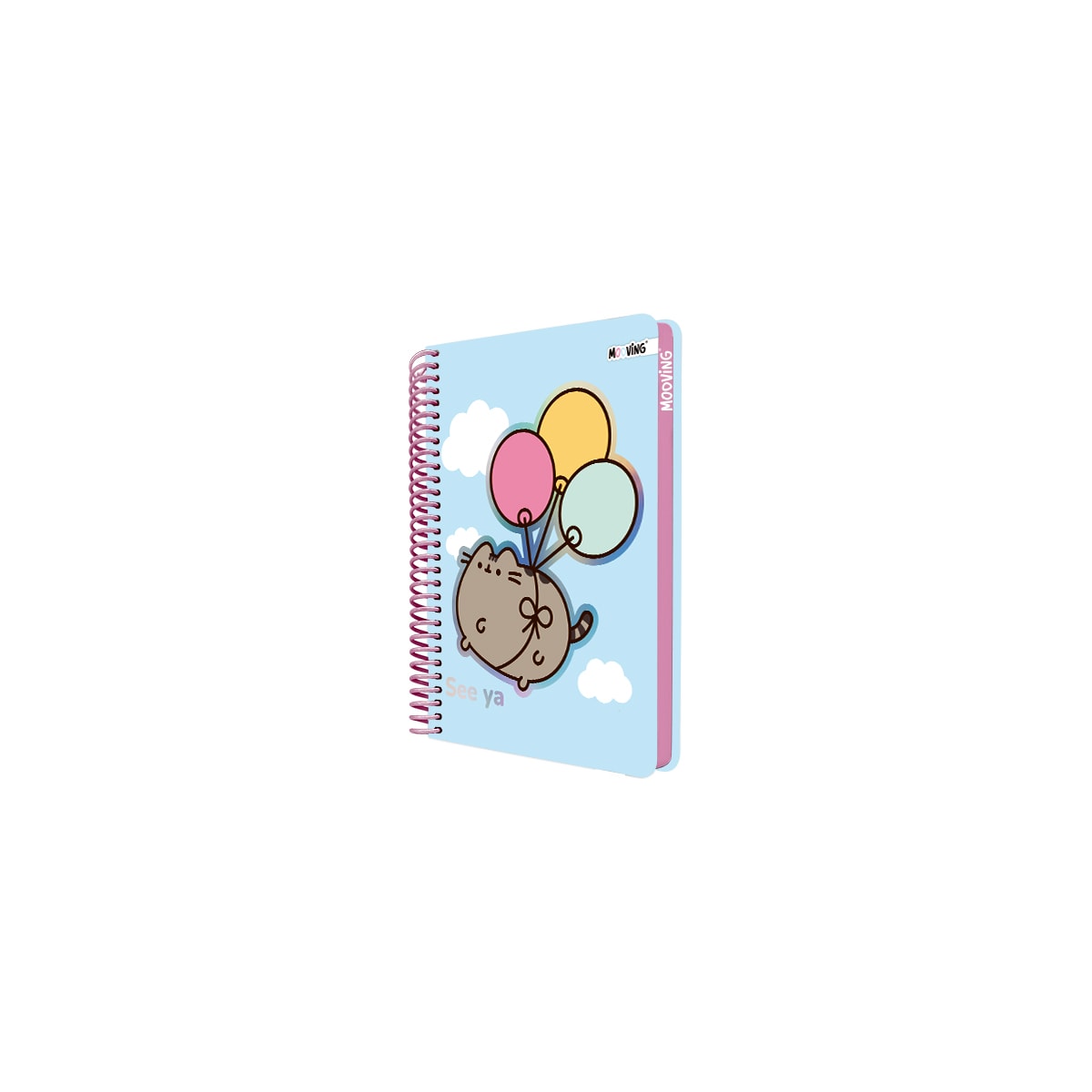 CUADERNO POCKET PREMIUM PUSHEEN 22