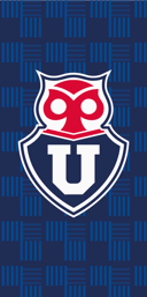 TOALLA PLAYA 70X140 U DE CHILE CHUNCHO1