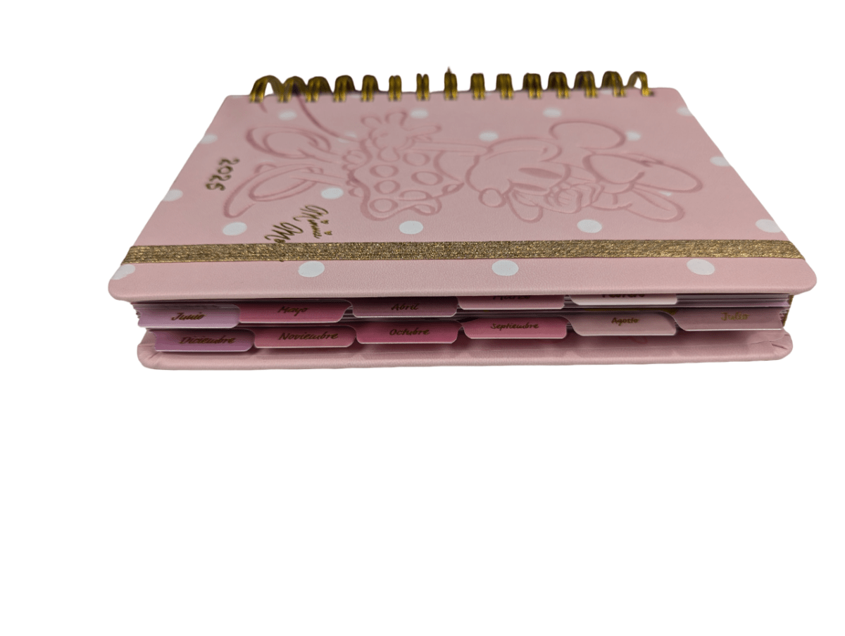 AGENDA 2025 MINNIE MOUSE MOOVING2