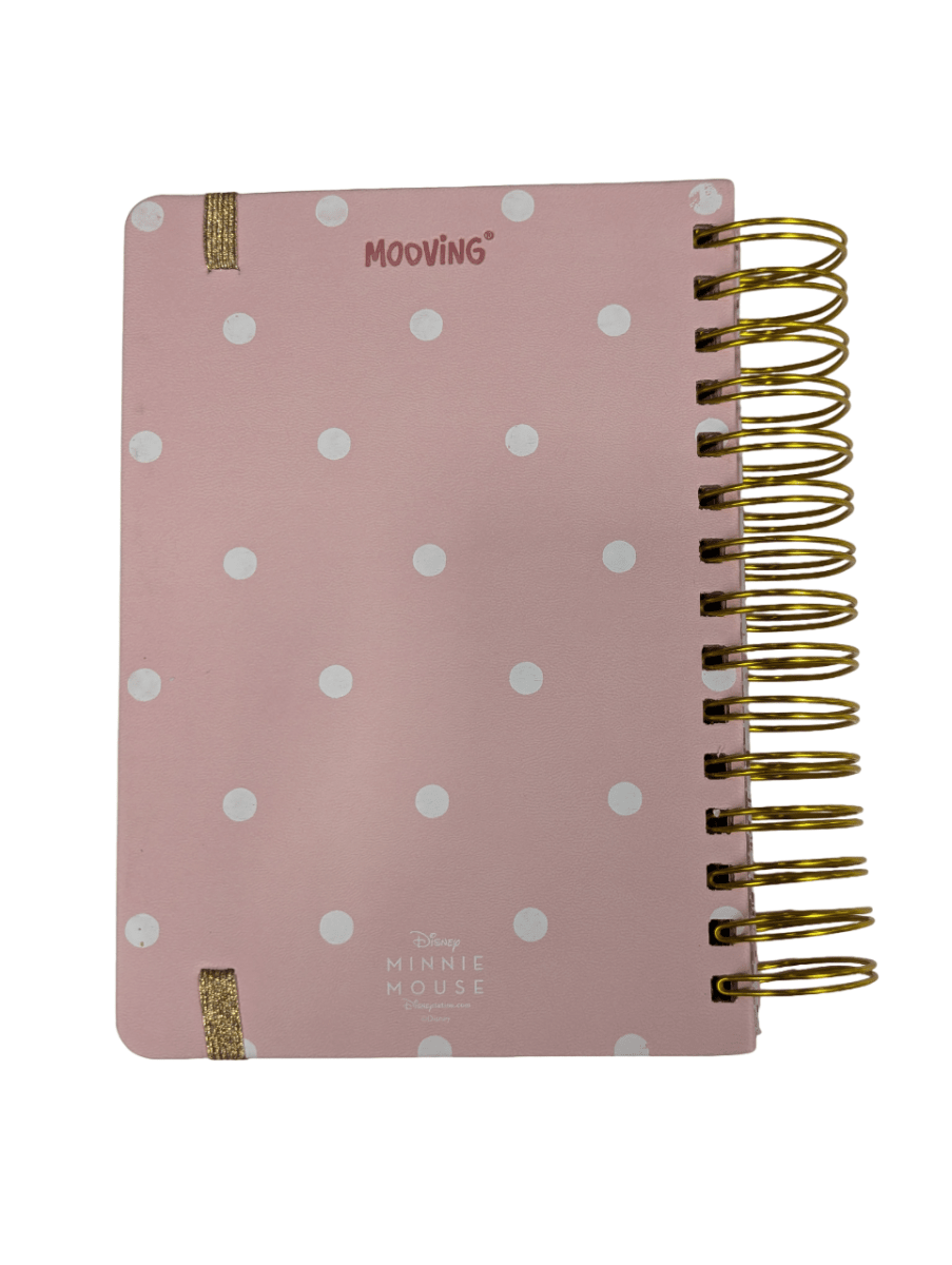 AGENDA 2025 MINNIE MOUSE MOOVING3