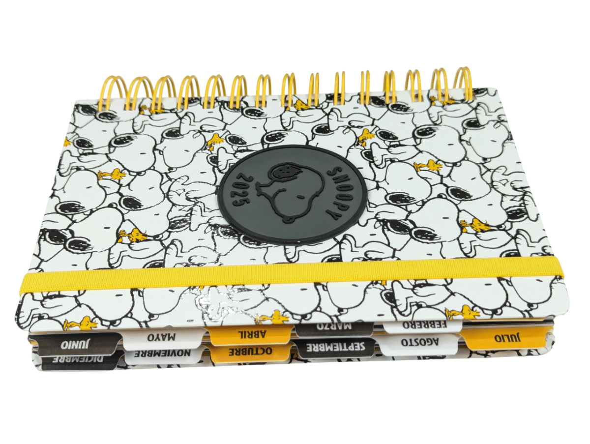 AGENDA 2025 SNOOPY MOOVING2