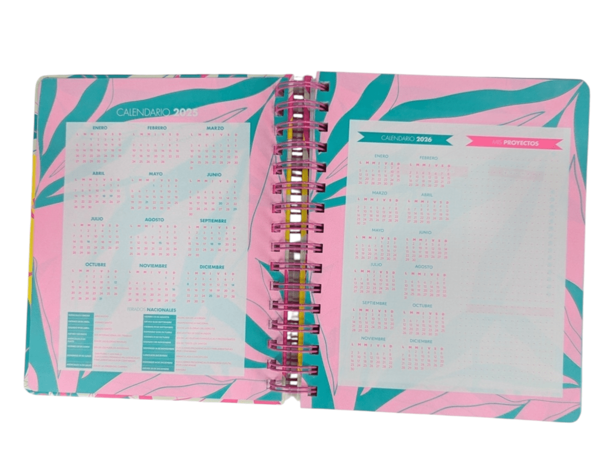 AGENDA DIARIA 2025 C/ ESPIRAL HOJAS DE COLORES3
