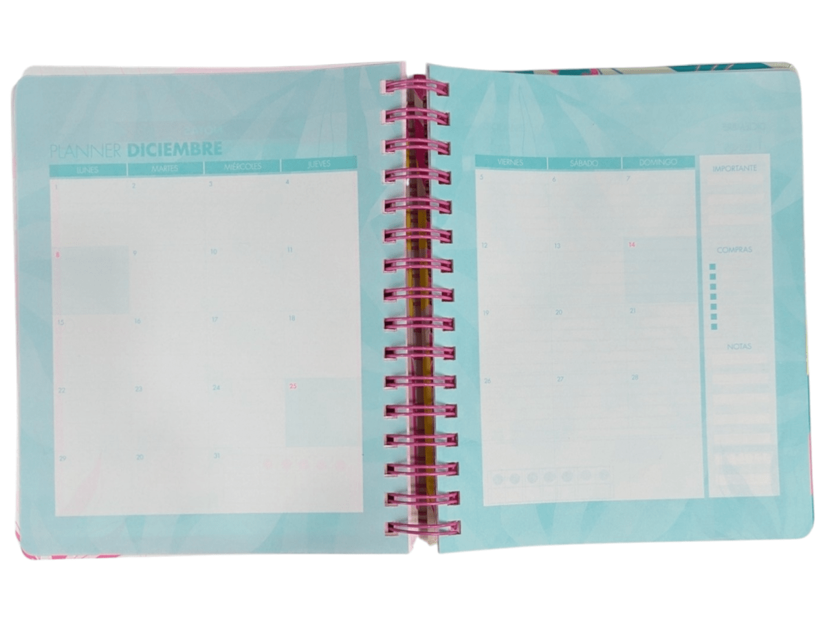 AGENDA DIARIA 2025 C/ ESPIRAL HOJAS DE COLORES5