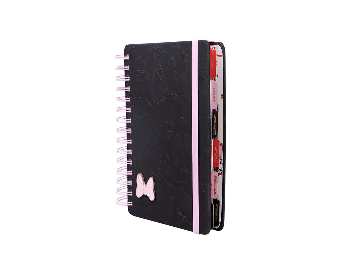 PREVENTA AGENDA MINNIE 20271