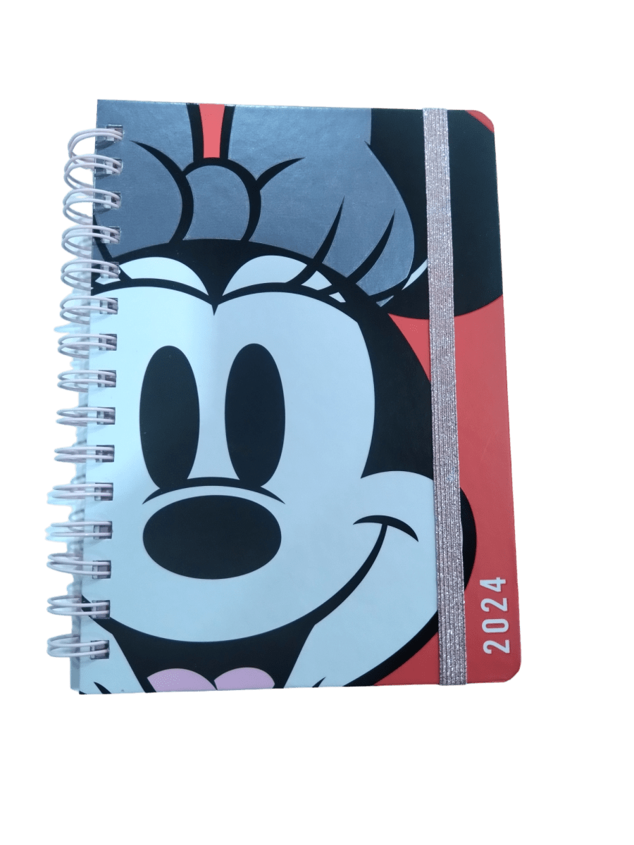 AGENDA ESPIRAL MINNIE2
