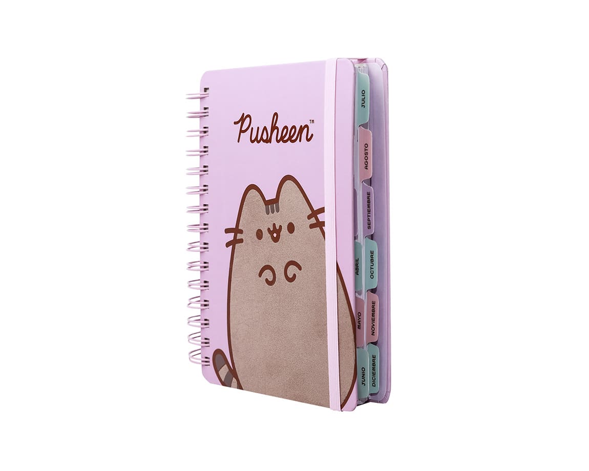 PREVENTA AGENDA PUSHEEN 20271