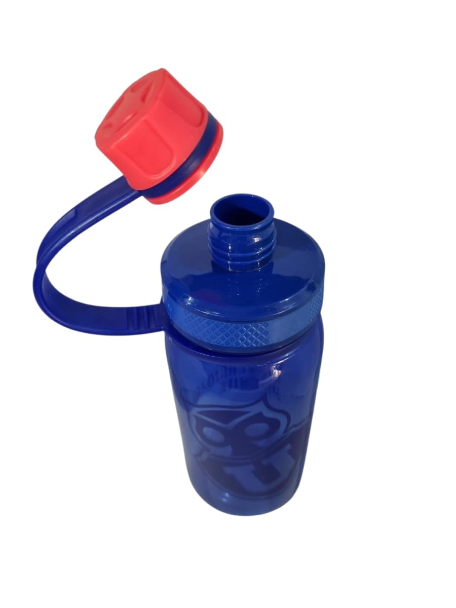 BOTELLA 700ML U CHILE NEW2