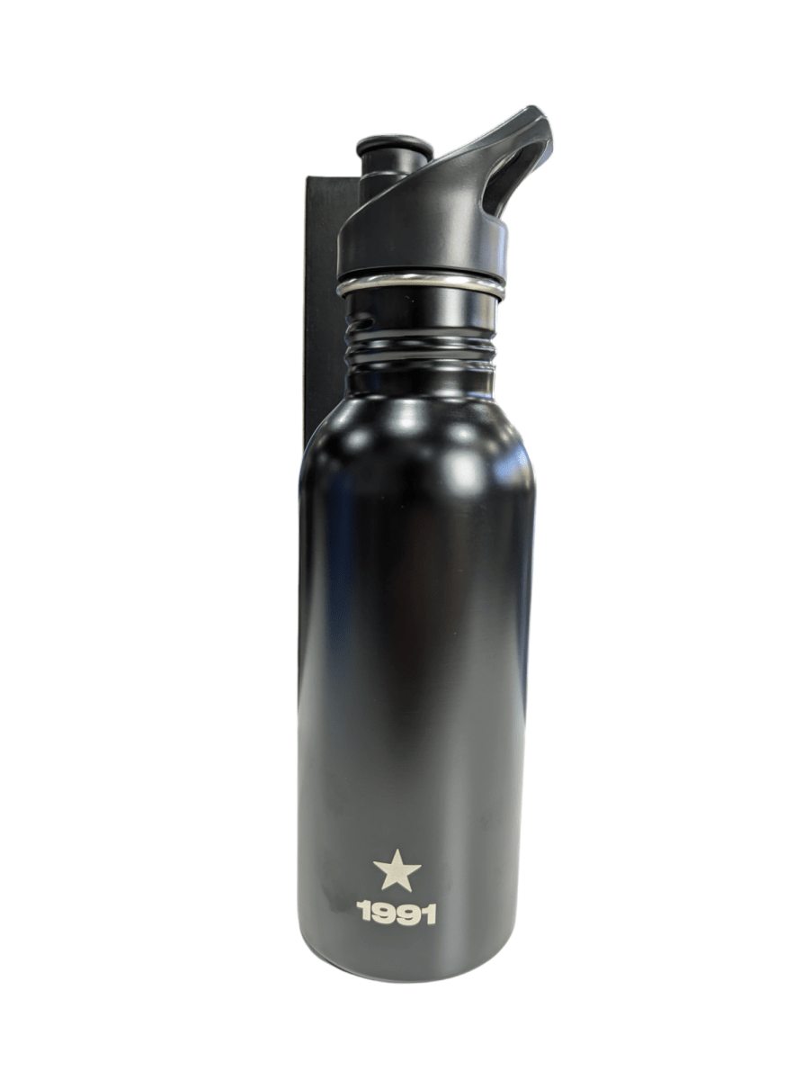 BOTELLA METALICA 600ML ICONIC COLO COLO2