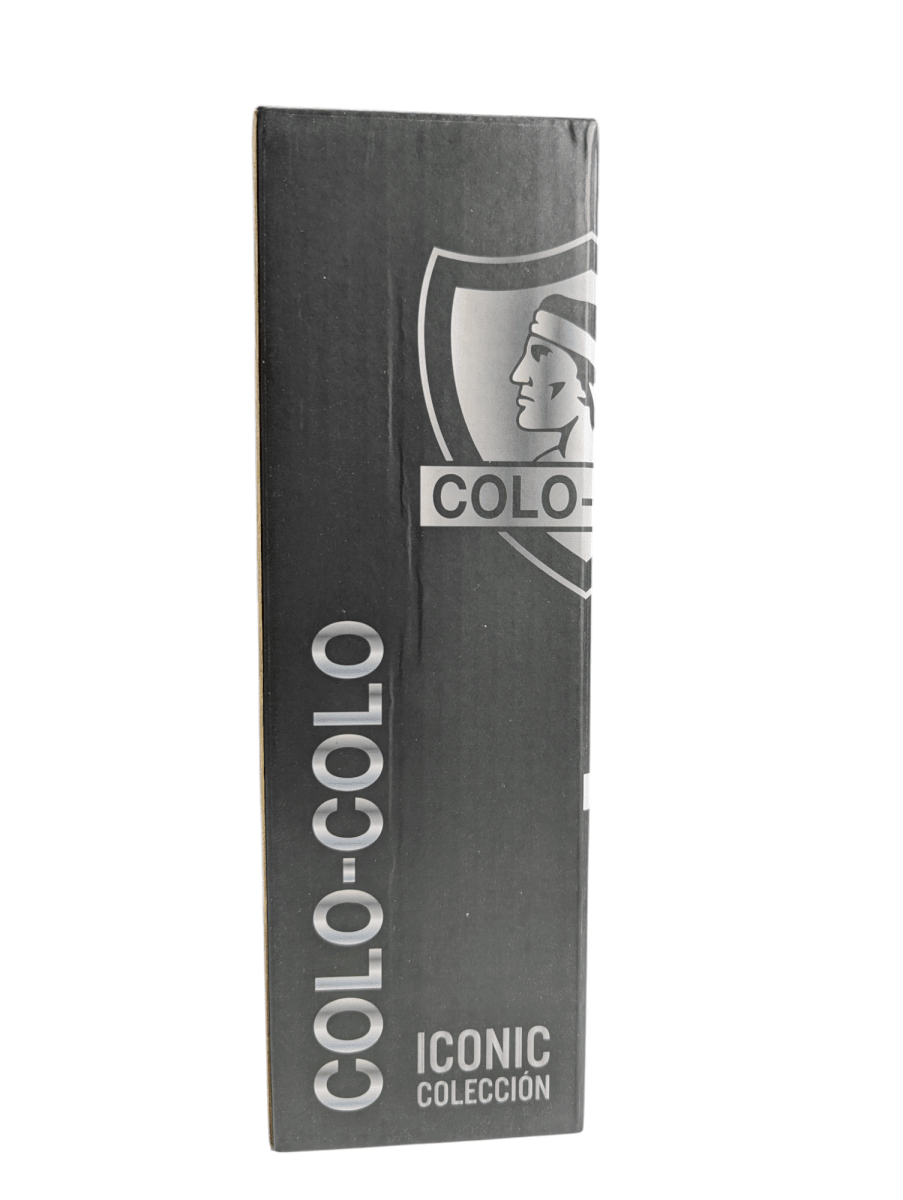 BOTELLA METALICA 600ML ICONIC COLO COLO5