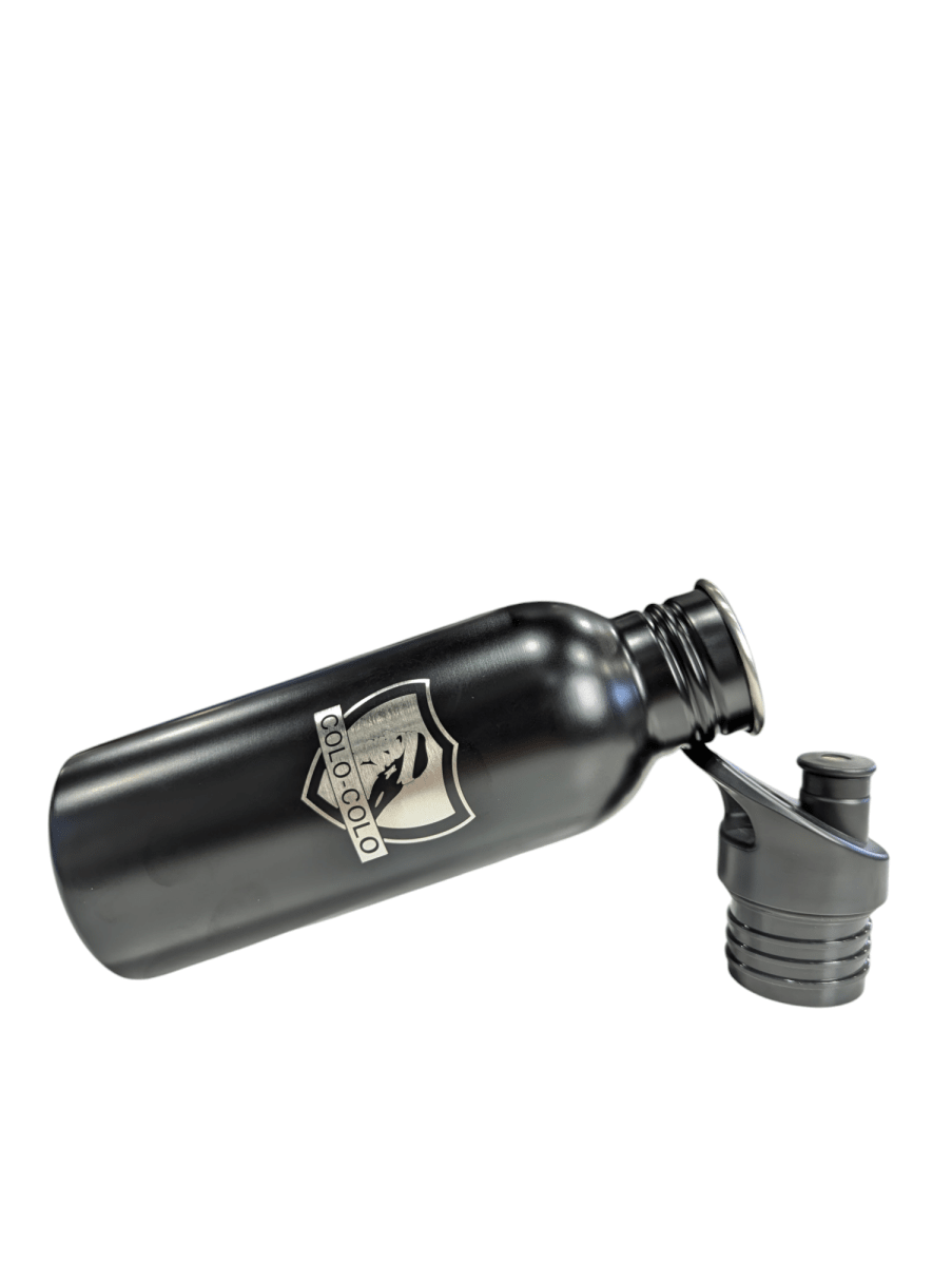 BOTELLA METALICA 600ML ICONIC COLO COLO3
