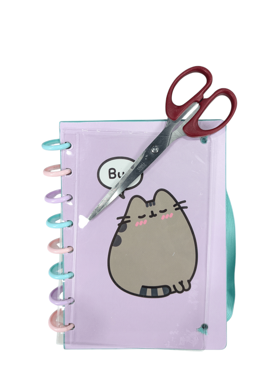 CUADERNO A DISCOS A5 PUSHEEN MOOVING - HOJAS REPOSICIONABLES8