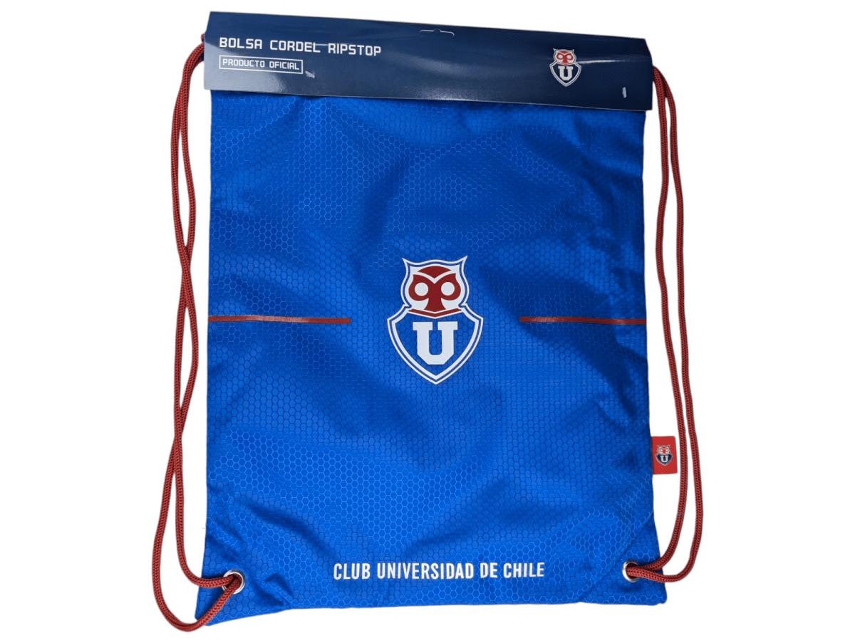 MORRAL UNIVERSIDAD DE CHILE1