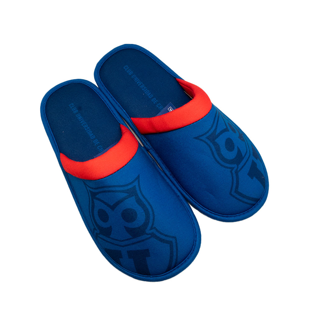 PANTUNFLAS U DE CHILE2