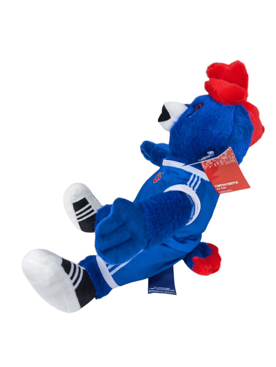 PELUCHE CHUNCHO U DE CHILE 30 CM.3