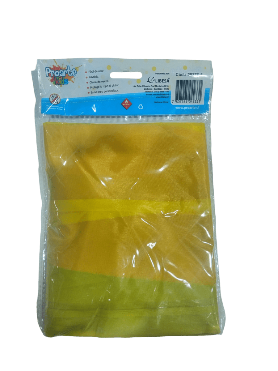 MI PRIMER DELANTAL PROARTE PARA PINTAR1