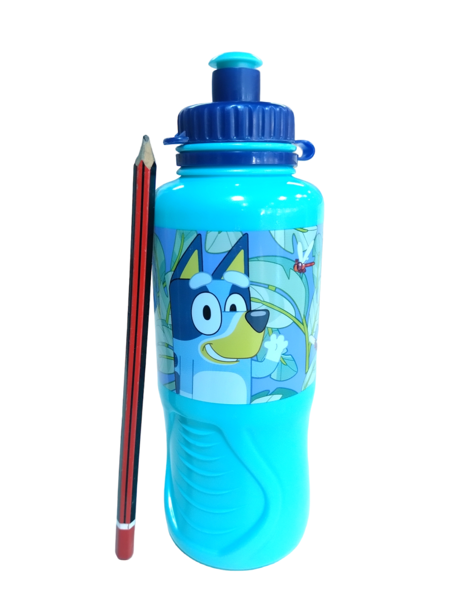 BOTELLA ERGO SPORT BLUEY 400ML4