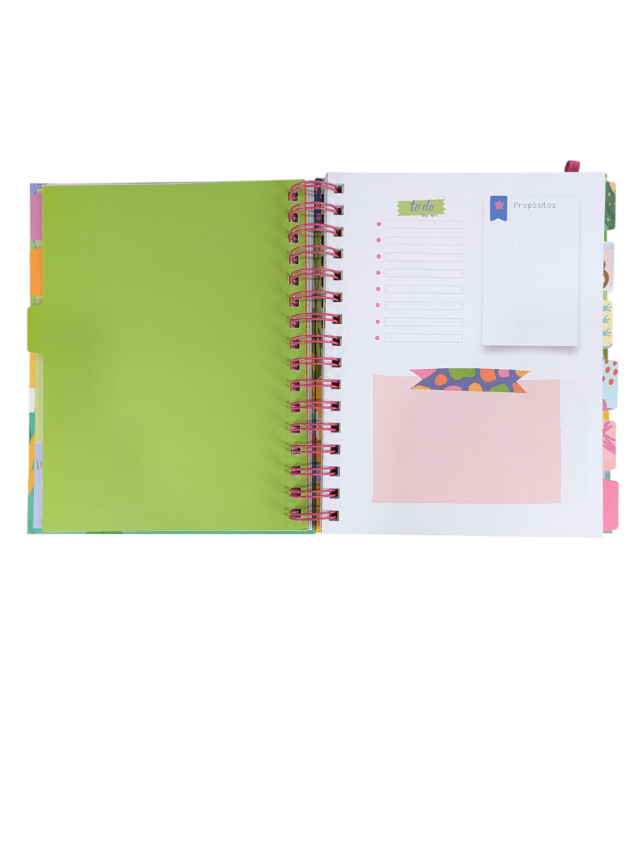 PLANNER DIARIO 2025 DANI BLANQ3