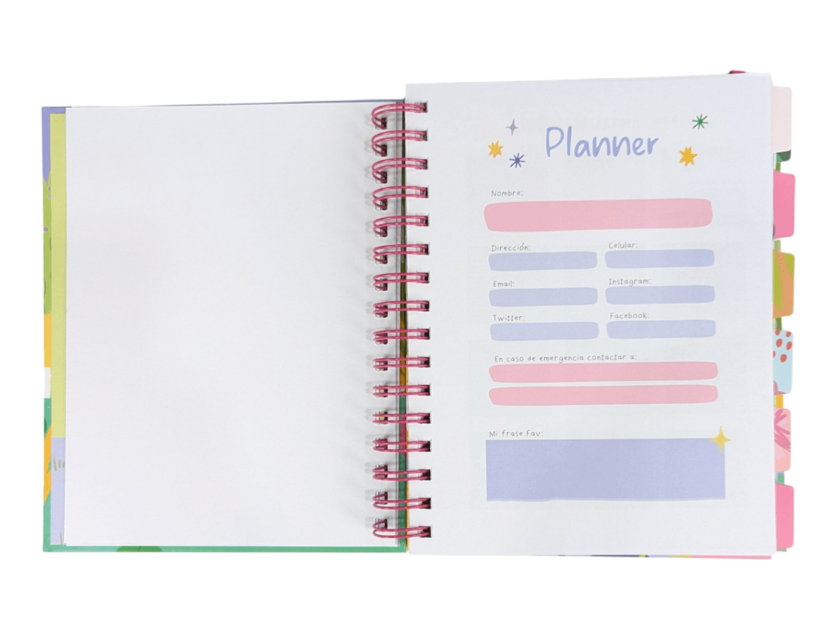 PLANNER DIARIO 2025 DANI BLANQ6