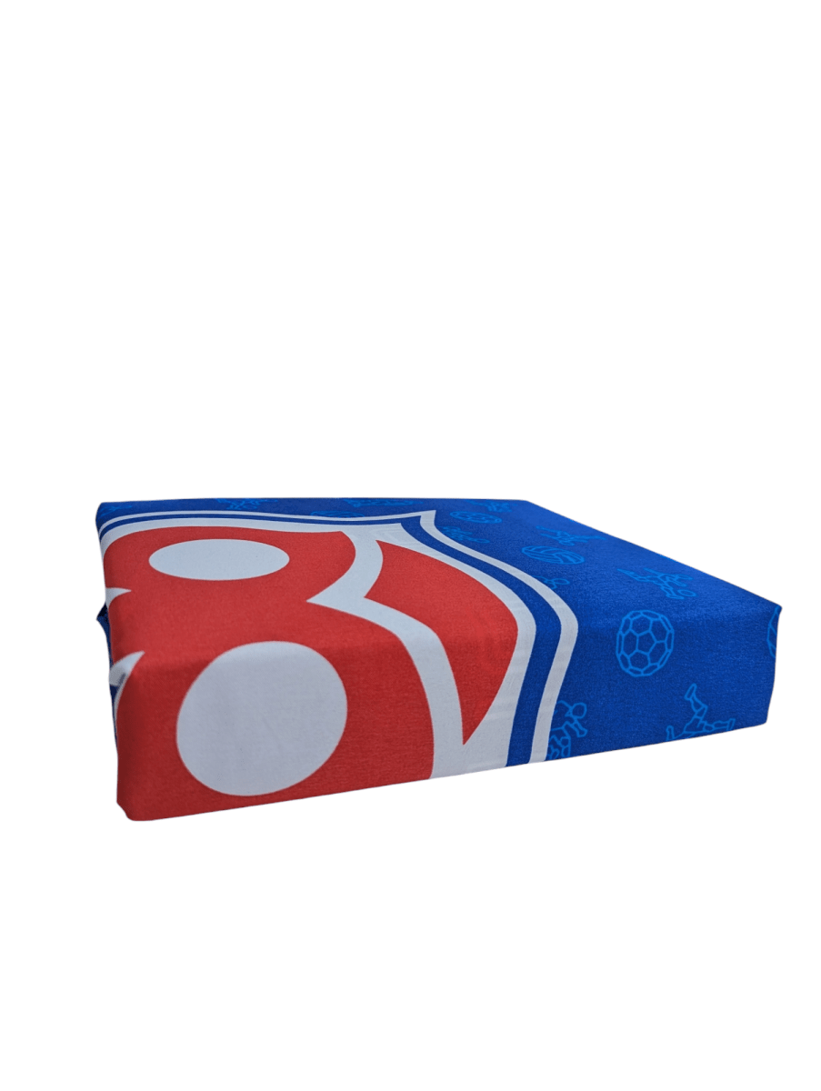 SABANA MF UNIVERSIDAD DE CHILE 2 PLAZAS3