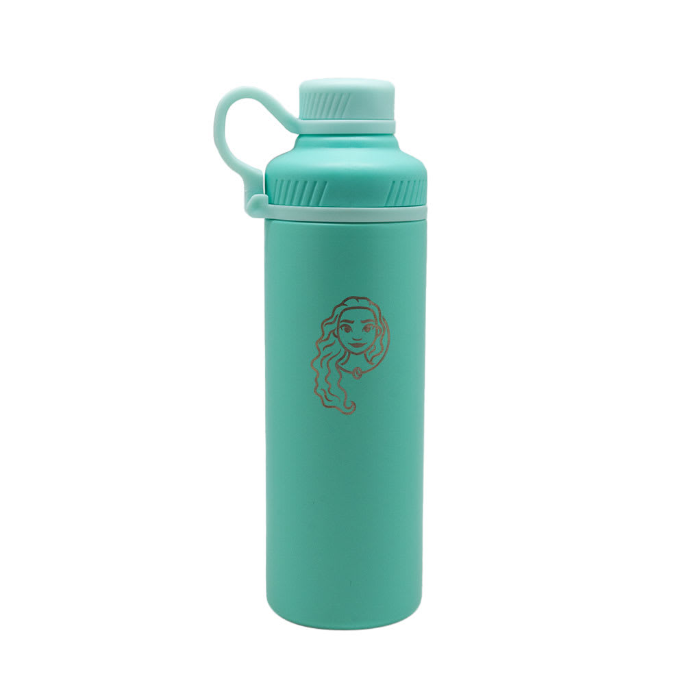 SHAKER METALICO 500ML VERDE ACERO INOXIDABLE PRINCESAS1