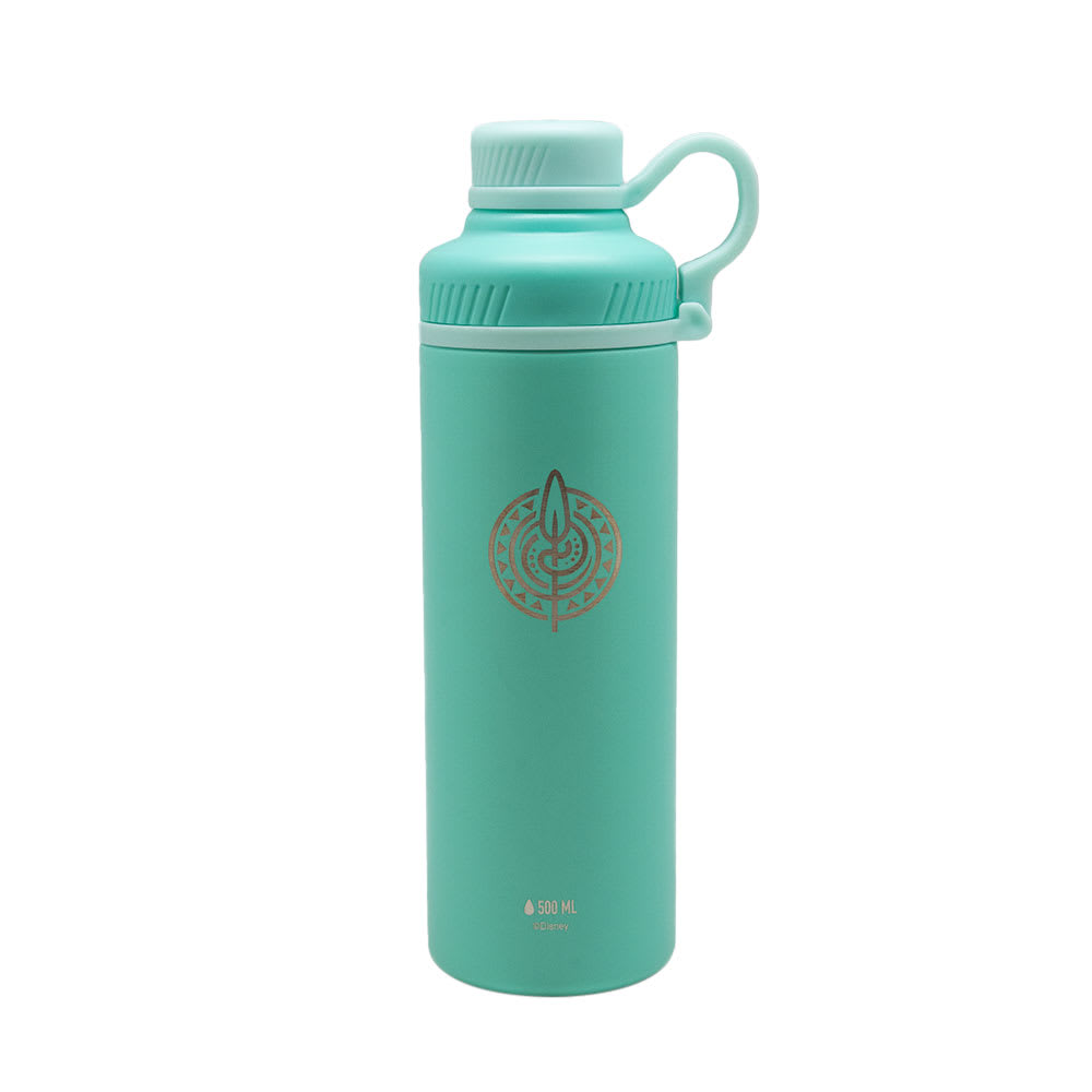 SHAKER METALICO 500ML VERDE ACERO INOXIDABLE PRINCESAS2