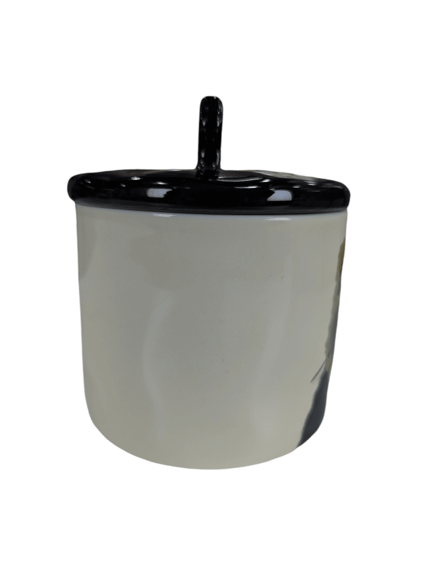 TAZÓN DE CERÁMICA DE GATO CON TAPA5