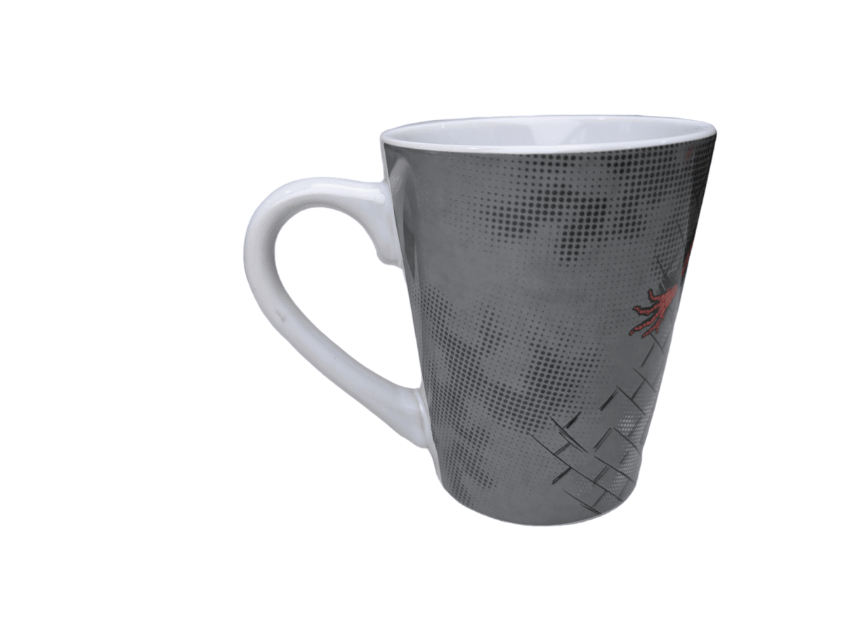 TAZON SPIDERMAN ON THE WALL2