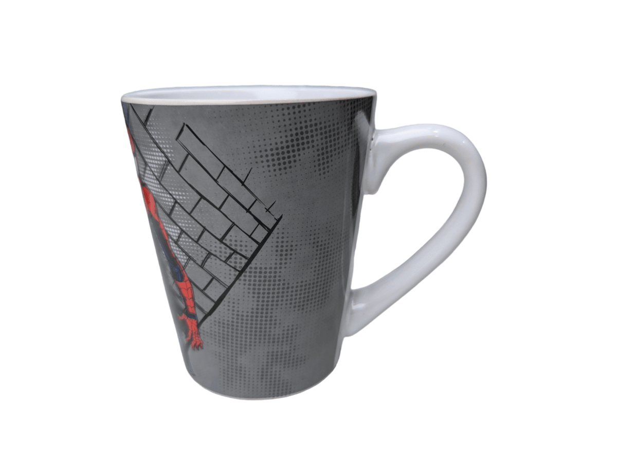 TAZON SPIDERMAN ON THE WALL3