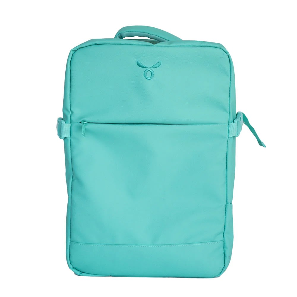 TRAVEL BAG MENTA MOOSE1