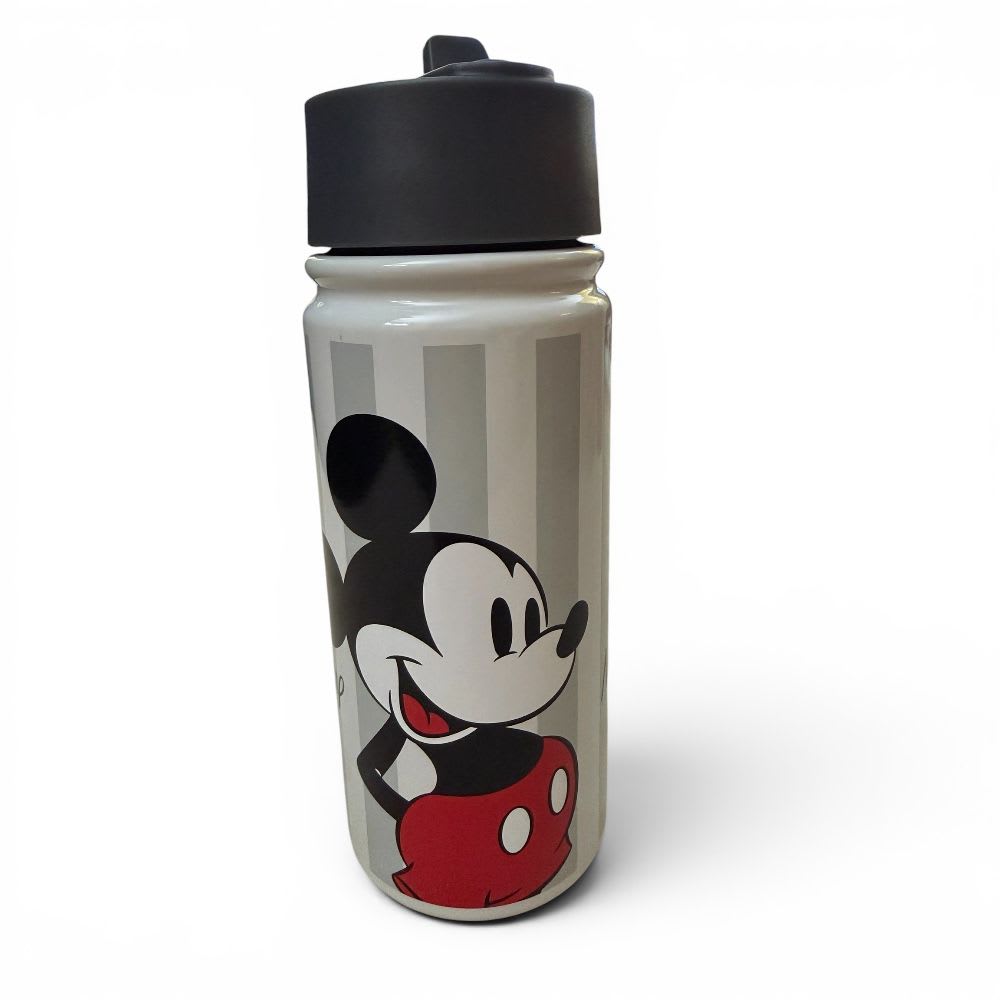 BOTELLA LID VACUUM 500ML MICKEY ICONIC INT1
