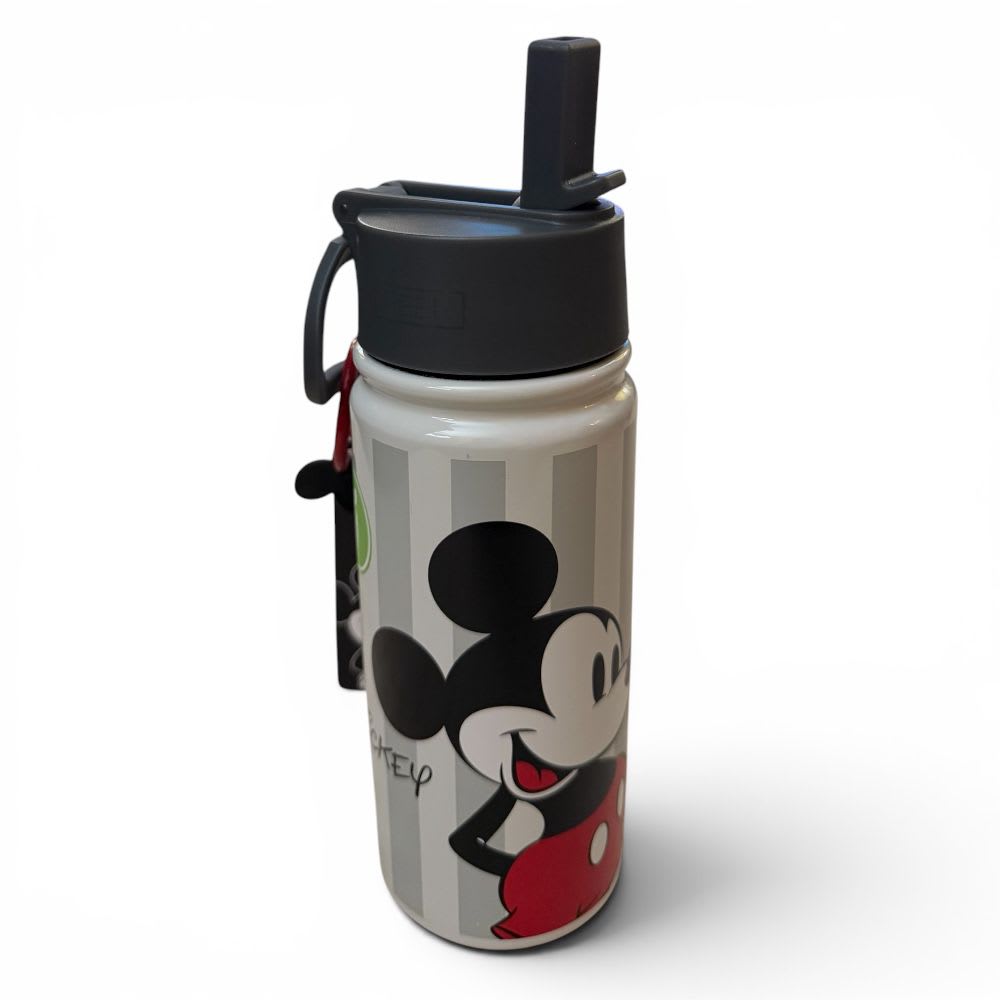 BOTELLA LID VACUUM 500ML MICKEY ICONIC INT2