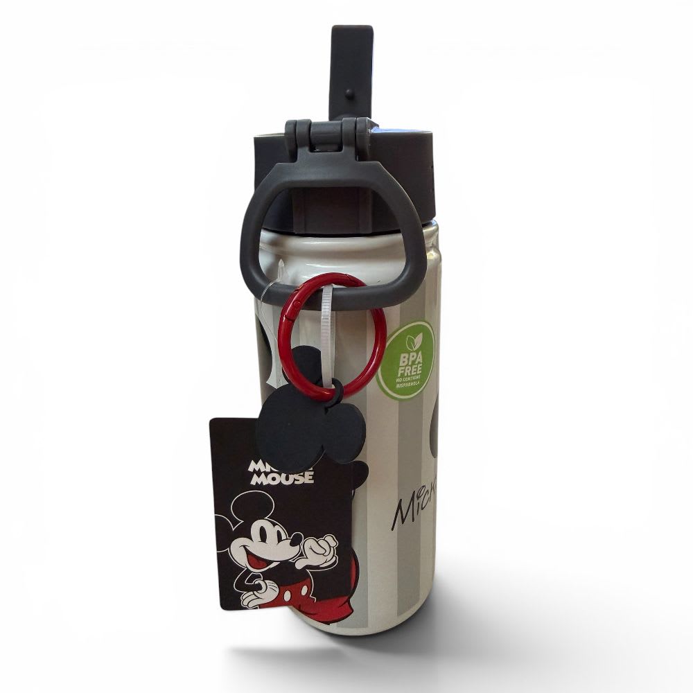 BOTELLA LID VACUUM 500ML MICKEY ICONIC INT3