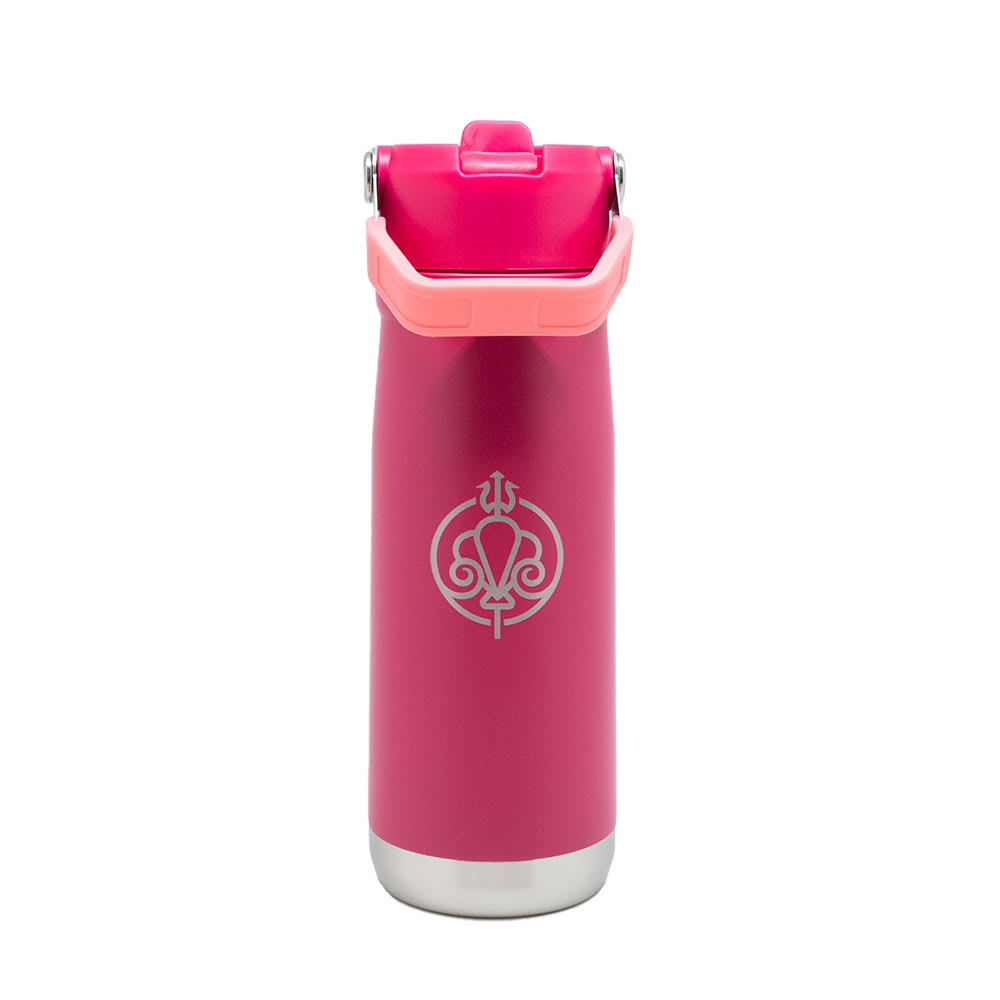 BOTELLA INSULADA MANGO FUCSIA 650ML PRINCESAS2