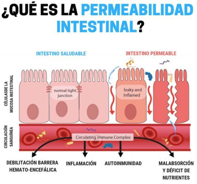 EXAMEN FIT CANDIDA + INTESTINO PERMEABLE