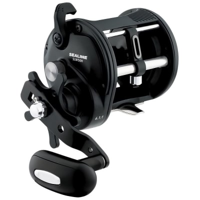 CARRETE DAIWA  SEALINE SLW50H1