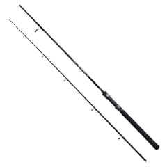 CAÑA PIONEER WIZARD SPIN 2.40MT 10-30GR