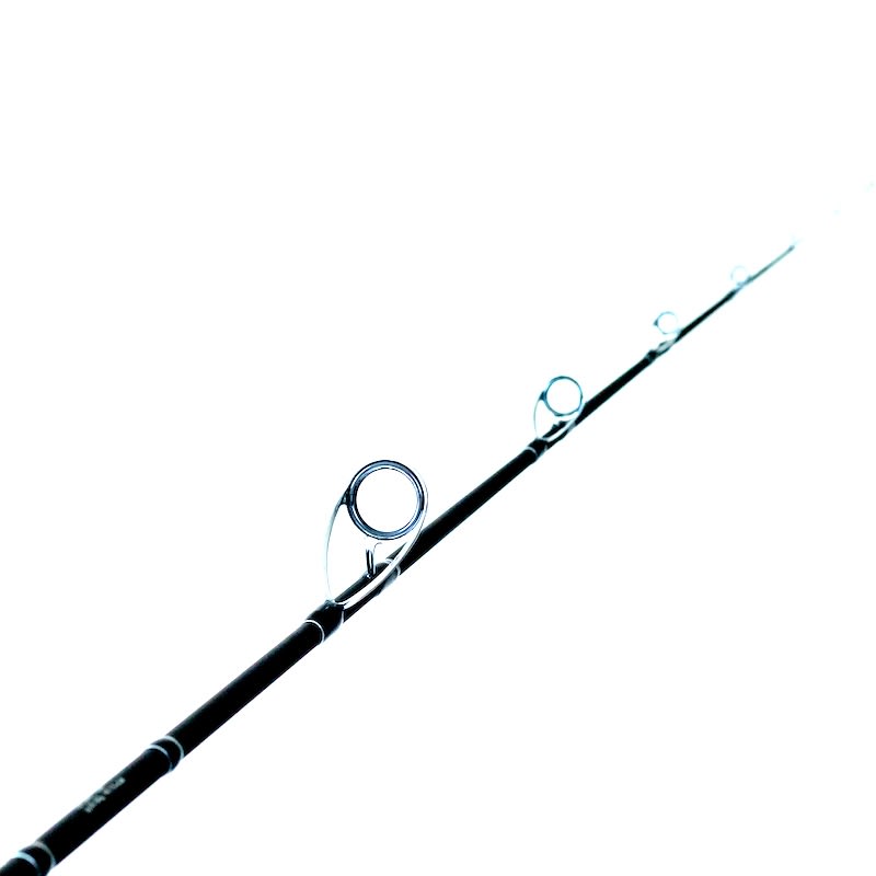 CAÑA BADFISH GRAPHITE SLOW S562 1.68M 30-300GR4