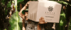 Inicio