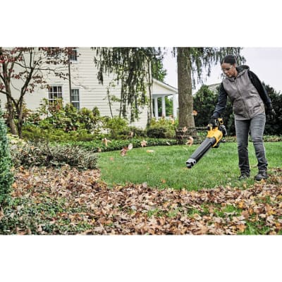 Soplador De Mano Inalámbrico 20v Max Xr® DEWALT DCBL722B 1