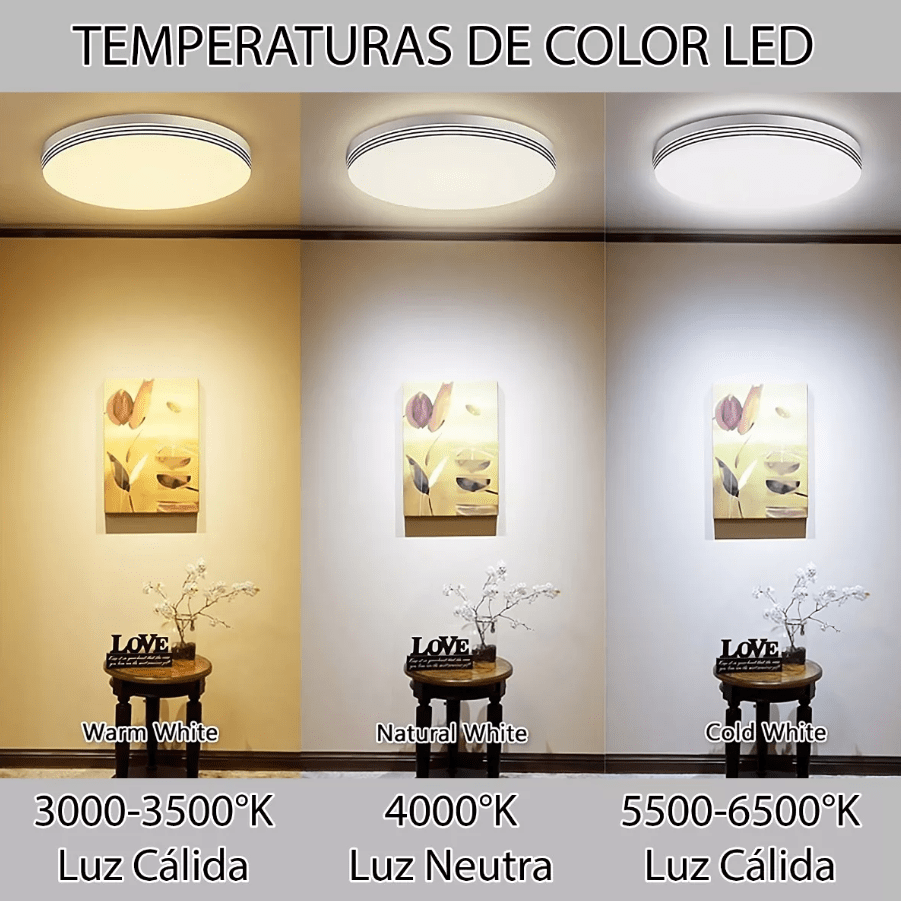 Tira de 20 Módulos Led 12V 1,2W 5000K Luz Día (wt)5